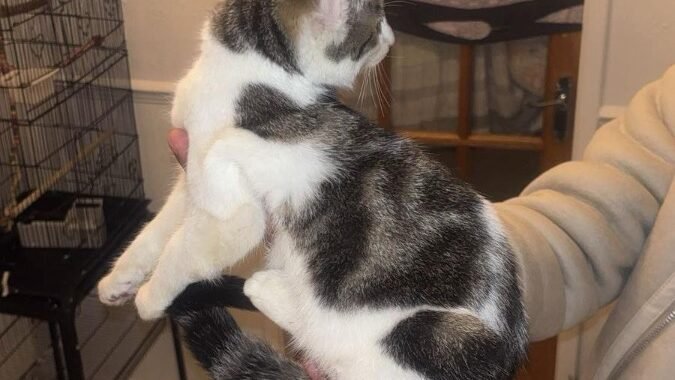 183d8a98 2aaa 432a b429 db6c1ee7bb1e