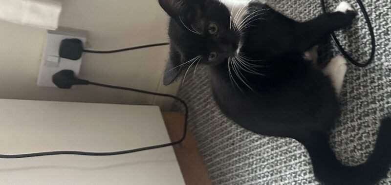 29DFB8B0 2422 40D7 BE22 EDA55B32D636