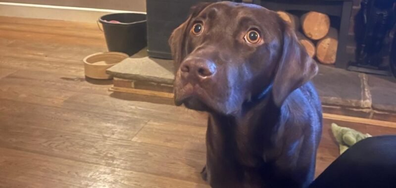 3292a5ac bef5 41bc a43e e20594732f13