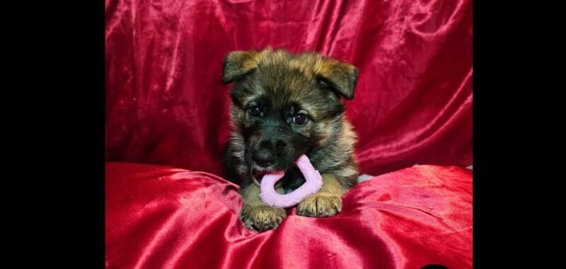 357b2719 f9e8 46ce b81e 9294e57c8148