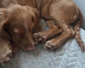 391FD1B7 5F5C 4FF1 90CE 31A6191E46FB