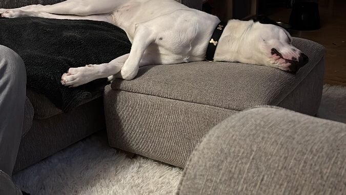 3A887A72 BCFC 4355 B968 C9AB1EF506B6