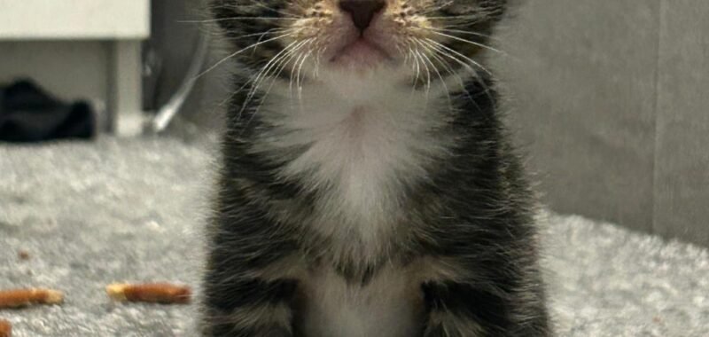 488ABC14 0DD0 42F4 BDA9 B6F713FAEAE5