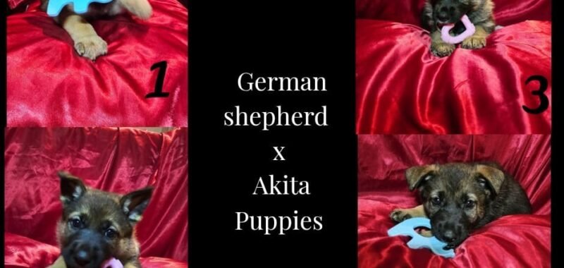 7fa771bb 81dc 4caa 8b5f 2cf710b8f21a