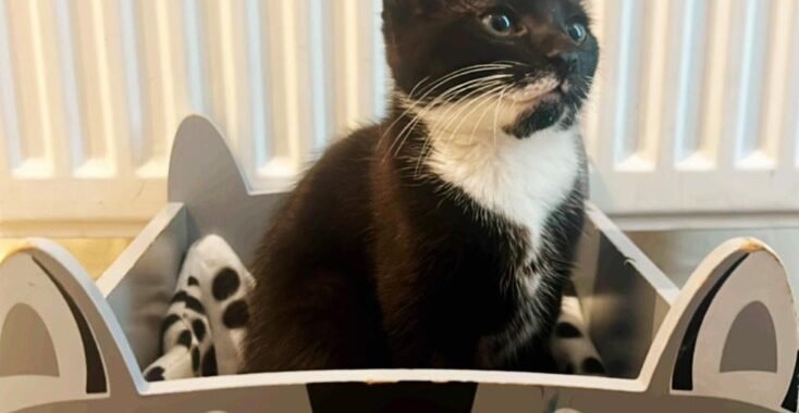 81DE6356 B674 4506 8416 72B09826BEB1