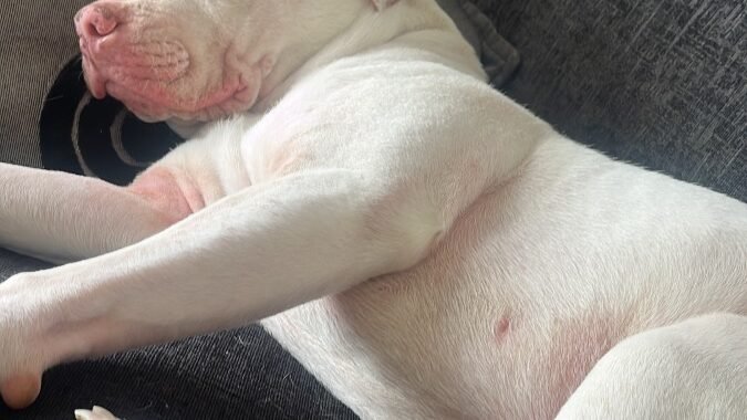 CD26CFAC 6900 4D82 84DF 9DE9AC78F069