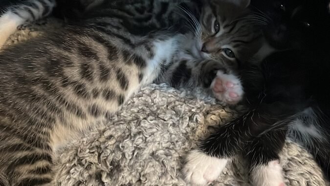 CDB92403 8C0D 45BE 853D CA3C3612F933