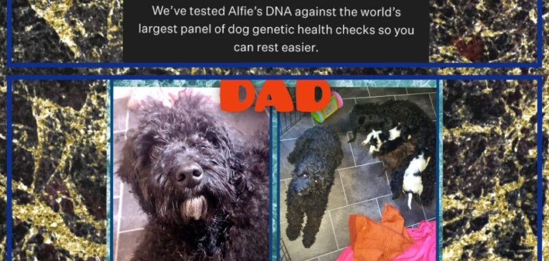 GridArt 20250930 233351645