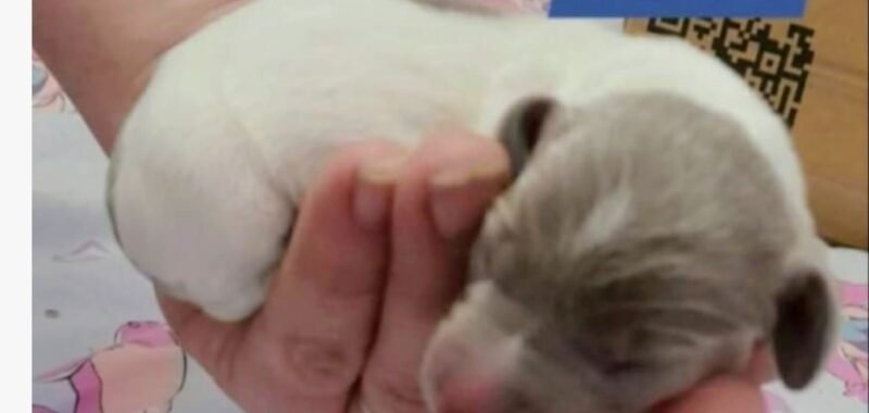 Screenshot 20251221 1751372