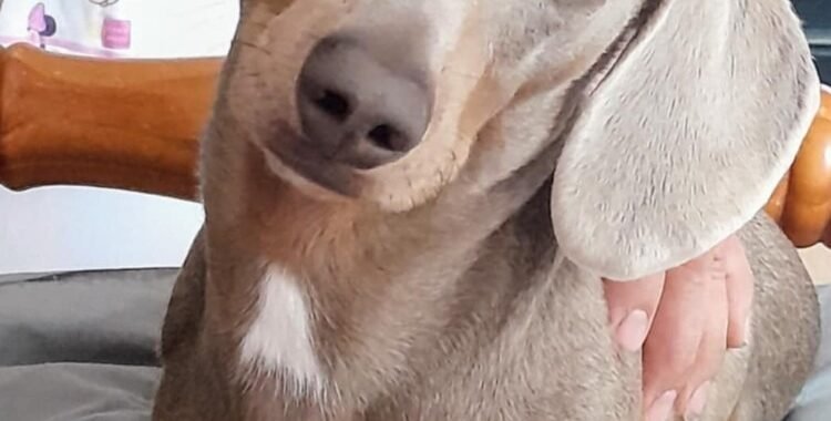 Screenshot 20251225 222049