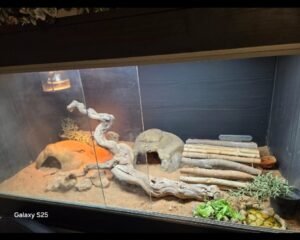 Screenshot 20251230 084437 Gallery