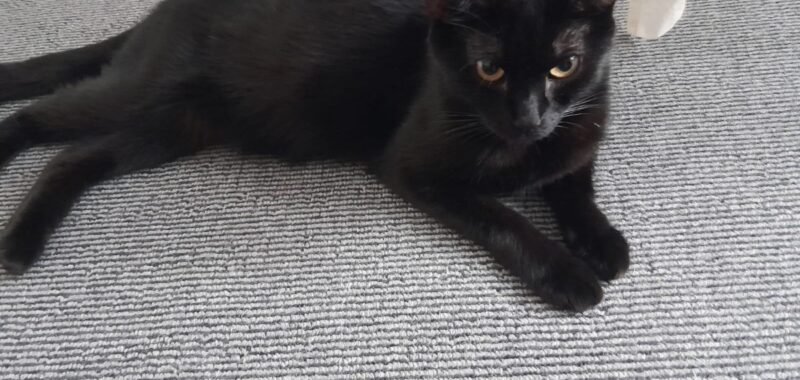 WhatsApp Image 2025 11 29 at 12.45.19 438c3d4c