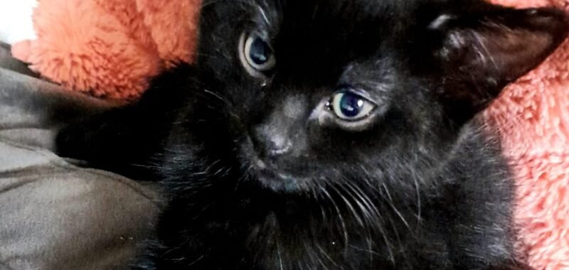 WhatsApp Image 2025 12 09 at 19.48.43 9bfe55b0