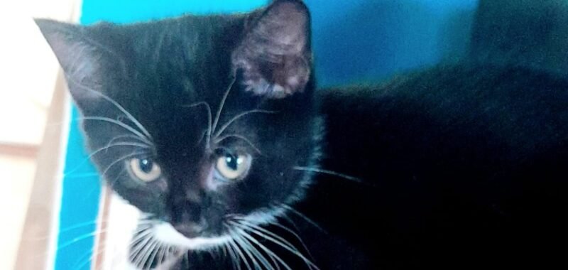 WhatsApp Image 2025 12 10 at 11.42.30 25f5bc9d