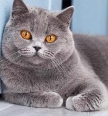 a3c57006 f074 4caa a7e8 8d224125d70a