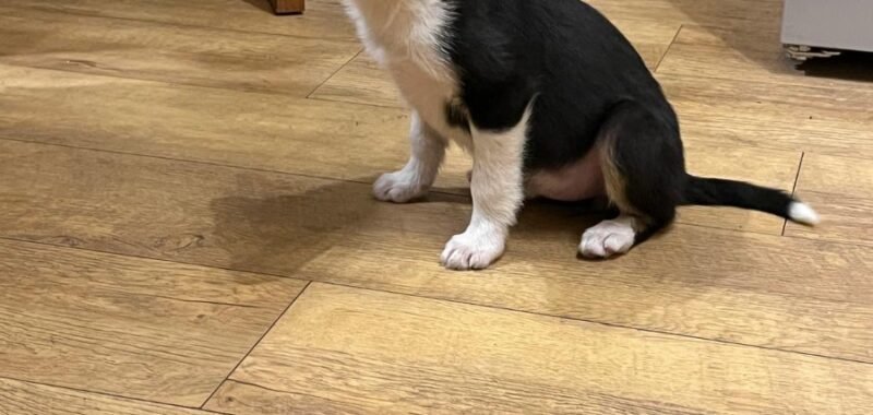 a48225c4 3adf 4181 8790 af3e08b4b90b