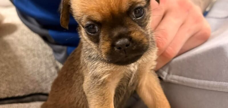 att. y76AJjPh82xYwOA2b30fTIJ4phnpsJTD0Hw8UGxiI