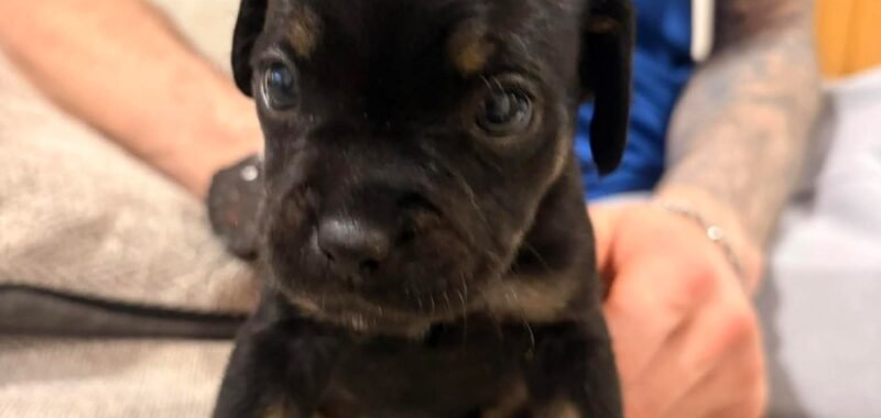 att.4s7CbZ7GHgIWvl0cXTsnB90LdgK3sGJdvSLlMShHYs0