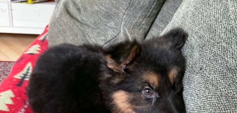 att.D82kdjjgyVQvIN2OxLT ahyWNhFK9VM7USL2BVnMNC8