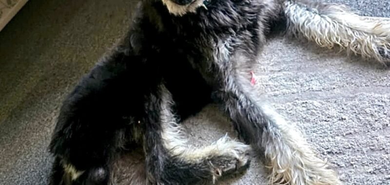 att.I qCKF7knAE9Sgsgg537jNvPqyMGJzDLWggUAkBkovE