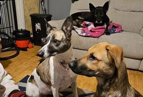 att.I1WnrffkxipezU9kpxSBEjjmB6phI8Xce8N56gkjX s