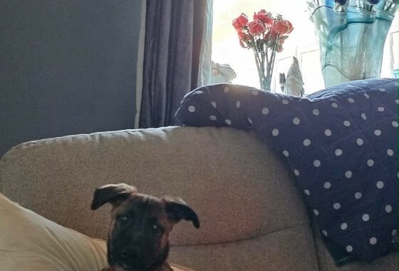 att.J2MSLgtYH7XvSMegCCGgC27VDyC1SLlbQntoH2efTUw