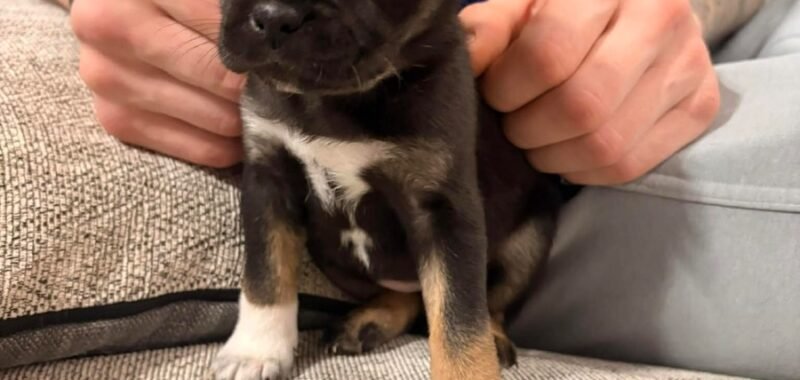 att.MHpli0ZqBnNB2 iJWI8No7qE pD8lNSV eZcrwCrcG0