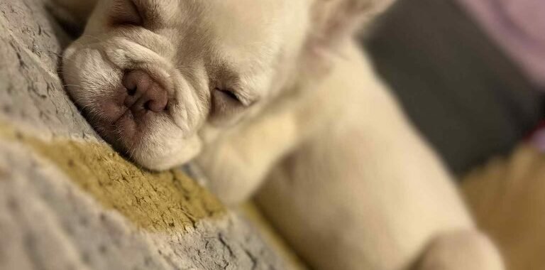 att.TFyEhUNWlyzeFosytroa Mq3ejMmBcMerQKxT8NZ1J8