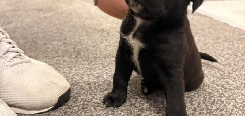 att.ZCo X ooWeRP3pJBz51WdJnYG729gRnLPWi9rOUCKA8