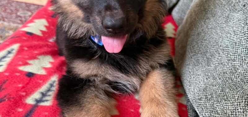 att.ir6SG3AmnHBzTOfPkSV8t ZBmbTjJI sWZ FJFQBGrI