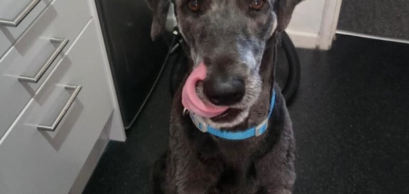 att.kZFq8Enhu3fB2tAoXH1dblvYqt960yfCDVHOLzfnQGw