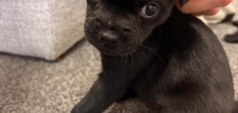 att.klcrjuRG3NqwOsscYizSHVygVjfZp0sNqZv1IOy4IOk