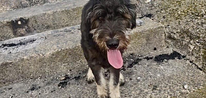 att.kzRdg0W8tMRsB8Lawbav6FrvAIbQ4LSdSn9ucwBX4OY