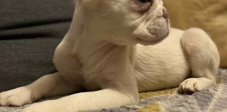 att.ryUJz 4pOV9r0wjVj4N mVZkxm8sL6L0JyR7 vnHdXE