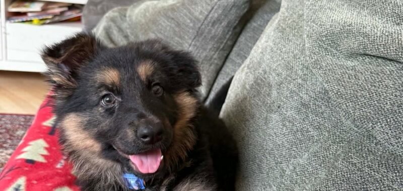 att.x ISec8yGpe WDDs3G0R Q0ASrk LJPOjITC6FKH50g