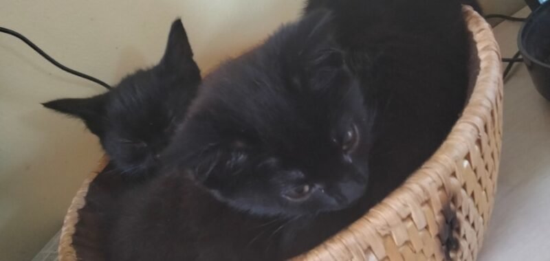 cdde52a6 c5c7 476c 8f57 10f777b6bced 1 all 179