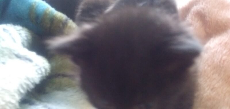 cdde52a6 c5c7 476c 8f57 10f777b6bced 1 all 493