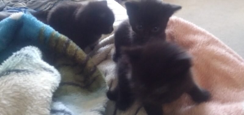 cdde52a6 c5c7 476c 8f57 10f777b6bced 1 all 792