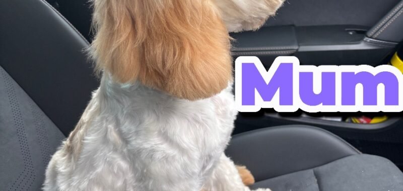 copy B5BD2F30 5123 47C1 A445 F0FEE5B92C45