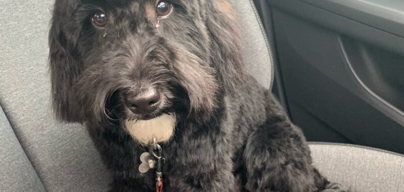 copy C9D31C05 A925 4432 BA85 1E6DAB46CD58