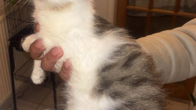 dd0d441e 108c 4aaa a640 a39786ff5d45