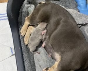 df7de46f d652 43e9 8b38 3275341f5f08