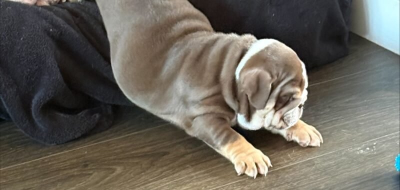 processed 739864A3 AC23 468C 8648 04AFBEC25708