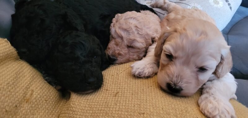 05a1be5d a06b 4b28 8f45 8708a6036e22