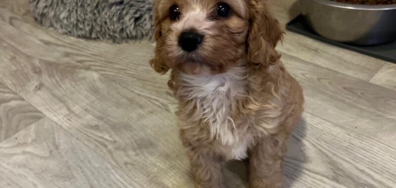 076644d3 5054 495f bdd9 84bc6d883400