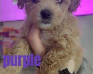 10b1ef9c 2f51 464b 8ca1 f09e24bcb2c9