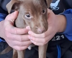 21a6e038 f60b 41fd b27a 4e85742086e0