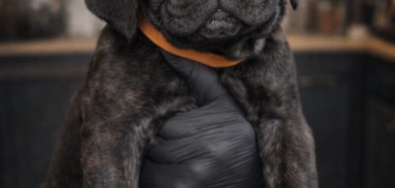 331B94ED E927 450E B3D2 7689F92B9423