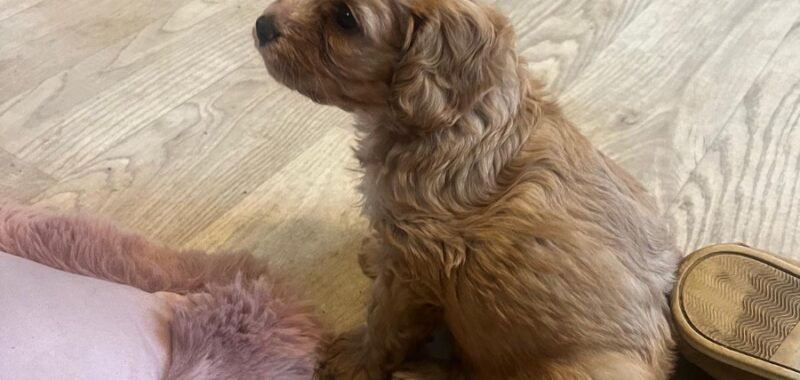 37f6aeae e90d 4095 8956 ea86c60e5491