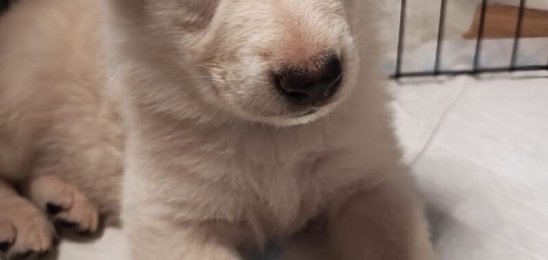 3e4ad746 5237 45cb afe6 2341b39eeb92